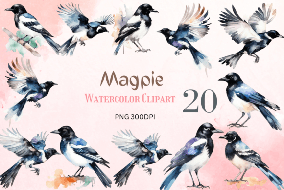 Magpie Clipart for Crafts & Branding